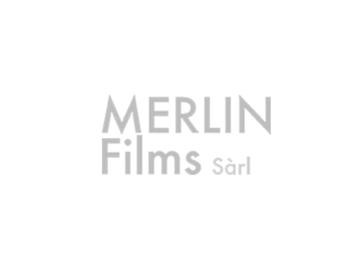 Merlin Films